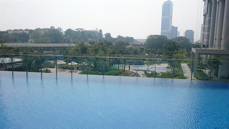 Skyline Residences (D4), Condominium #165203172